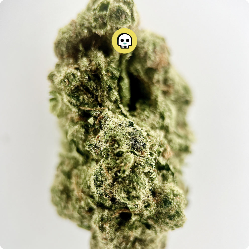 Donny Burger (Indica Hybrid)