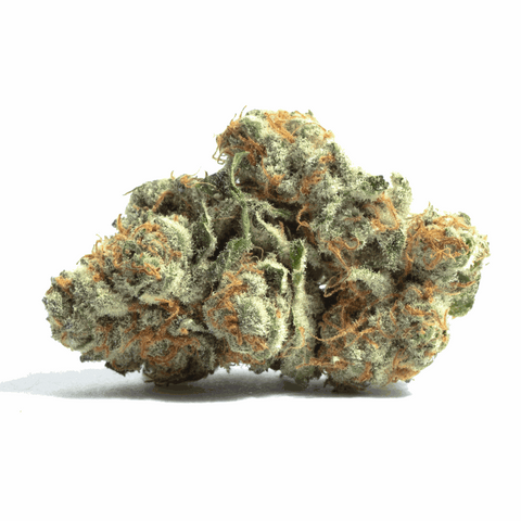 Gelonade (Sativa-Dominant Hybrid) cannabis flower with citrus and vanilla aroma