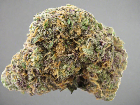 Zoap – Hybrid | Exotic Flavor