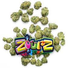Zours (sativa)